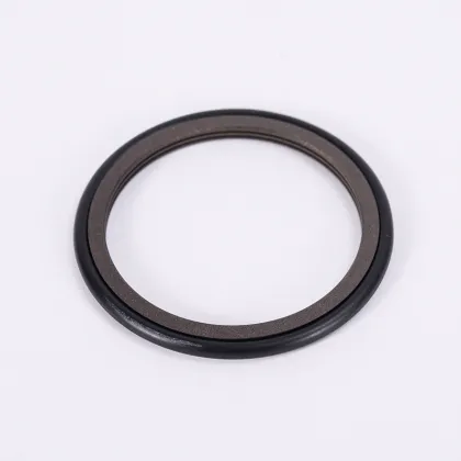 Model SAF High Viscosity cartridge Andritz mechanical seal