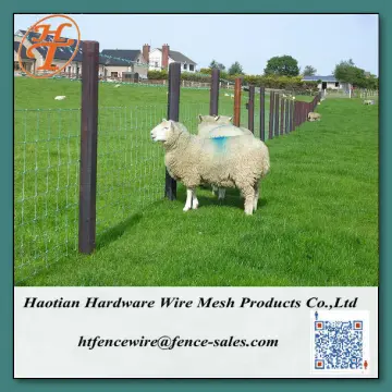 hot sale sheep and goat fencing