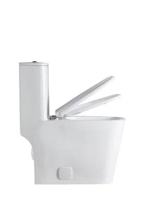 Modern Bathroom White Siphon Toilet - Hot Selling Ceramic Floor Type Sanitary Ware