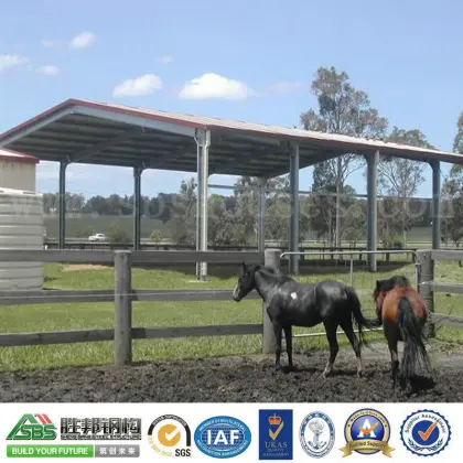 2015 SBS Green Materials Prefabricated Steel Structure Animal Husbandry Building