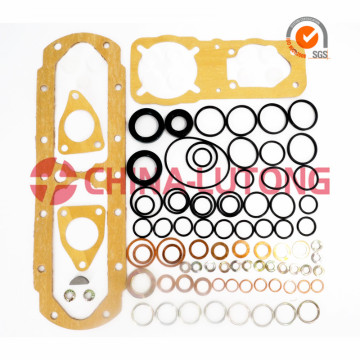 Juego De ReparacióN Gasket Kit 2 417 010 003 Fuel Injection Repair Tool