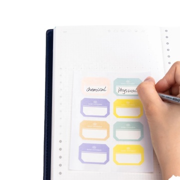 Deli hoogwaardige plastic indextabs - 100 stickers voor kaartspitser, planners en notitieblokken