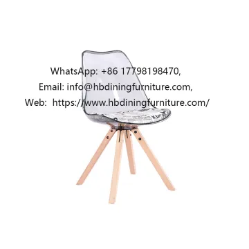 Modern Acrylic Translucent Upholstered Plastic Dining Chair
