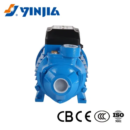 0.5 HP Peripheral Pump