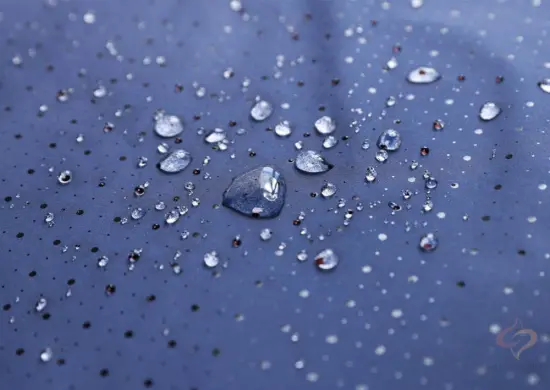 50D Polyester Taffeta With Printing