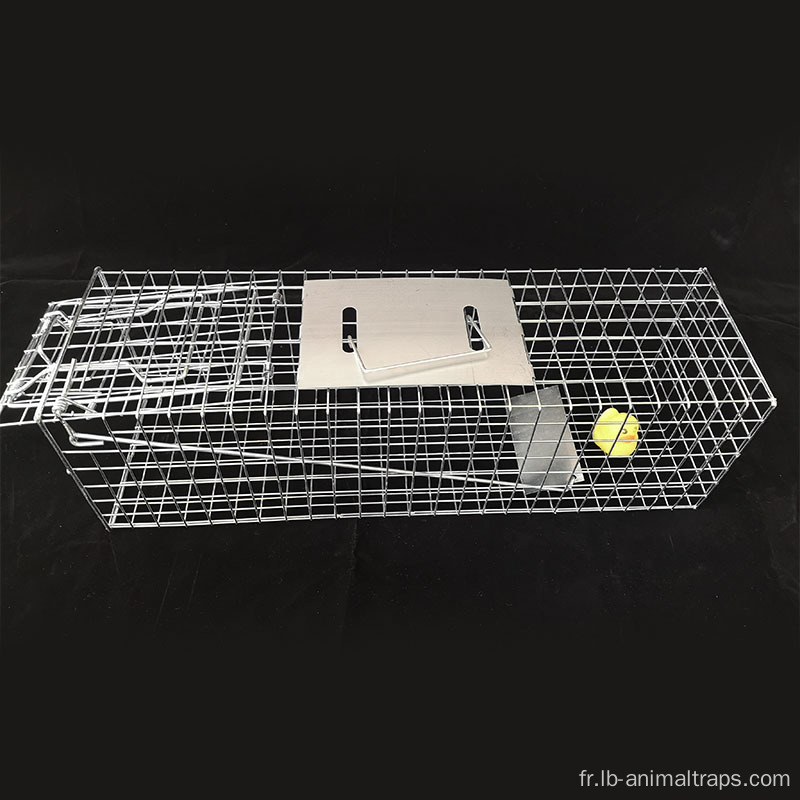 Chipmunks Cage Traps 2,0 mm Diamètre de fil inoxydable