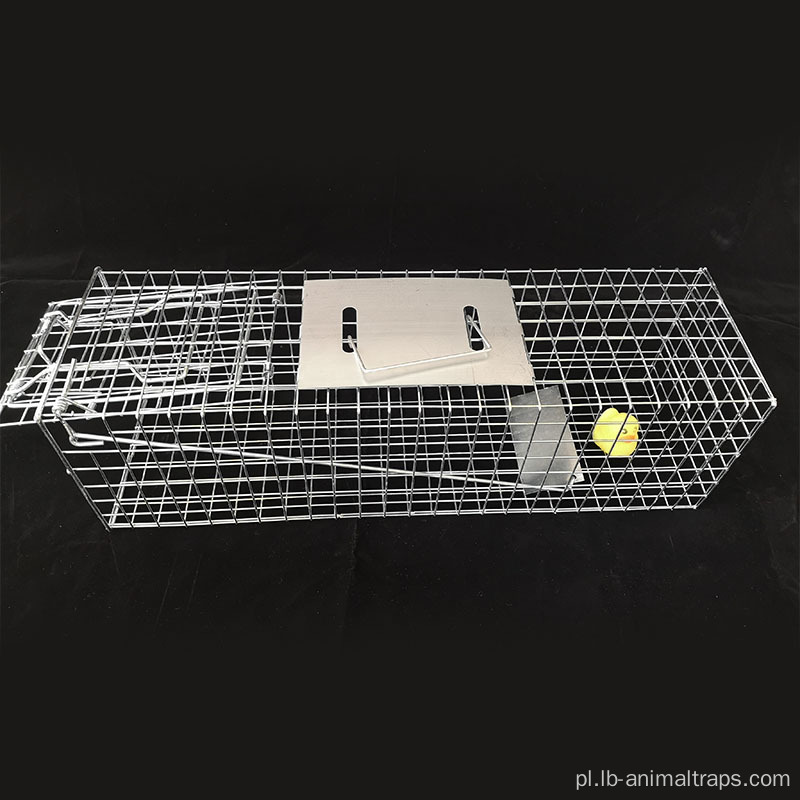 Chipmunks Cage Pułapki o średnicy drutu 2,0 mm