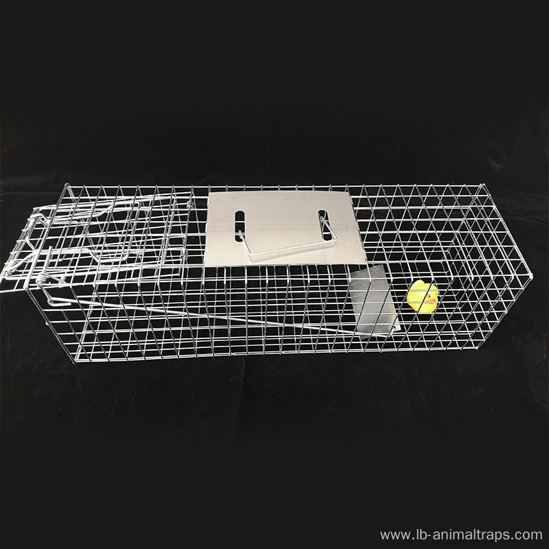 Chipmunks Cage Traps 2.0mm Wire Diameter Stainless