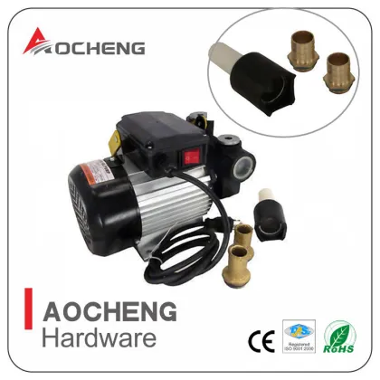 110v AC Diesel / Biodiesel Pumps