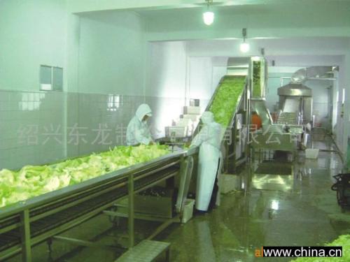 integrated production line of vegetables dewatering and drying