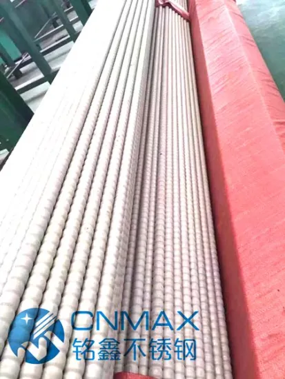 Shell Heat Exchanger Stainless Steel Tube