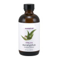 Private Label 10ml Eucalyptus Essential Oil Steam Distilled