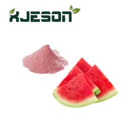 100% Natural Dried Watermelon Juice Powder