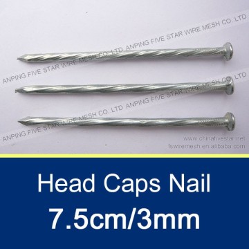 7.5cm/3.0mm Flat Caps Nails