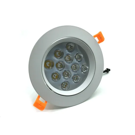 1200 Lumen LED Downlight with Excellent Heat Dissipation - www.xxx.com