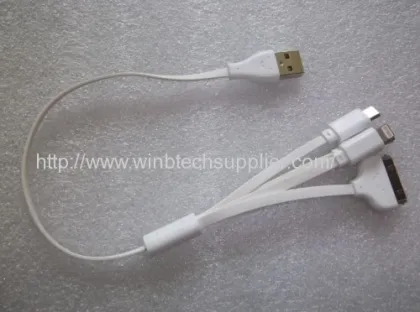 4in1 Usb Cable For Iphone Ipad Samsung Htc Apple Blackberry Etc. 