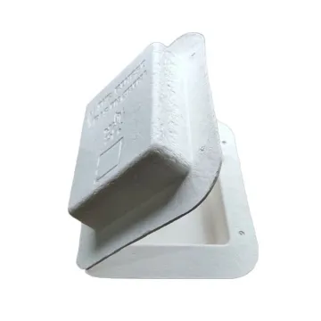 Sustainable custom sugarcane paper molded pulp box packaging