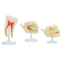 /msite/products/detail/productid/63610868/id/1517769.html