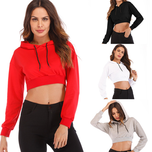 solid color long sleeves crop sweatshirt