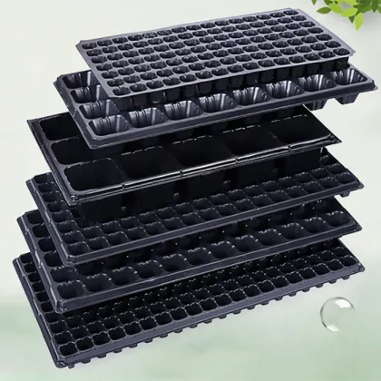 Greenhouse Seedling Nursury Trays
