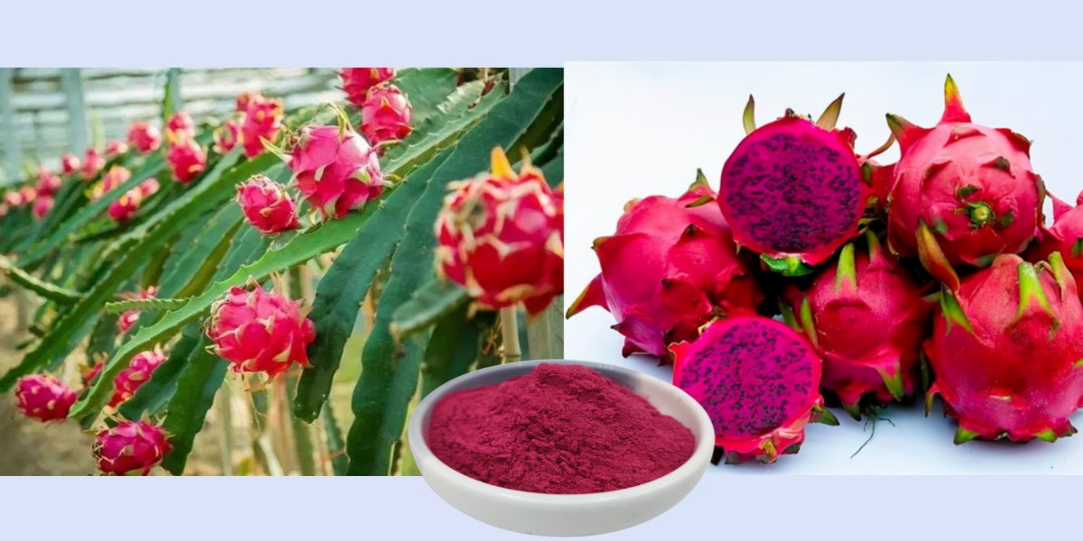 Pitaya powder