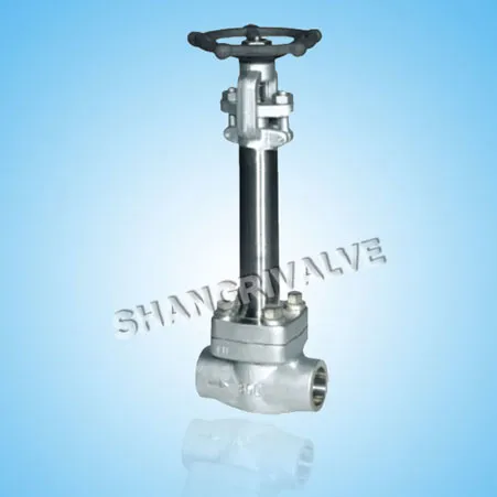 Low Temperature Welded Gate Valve (Type: DZ61Y)