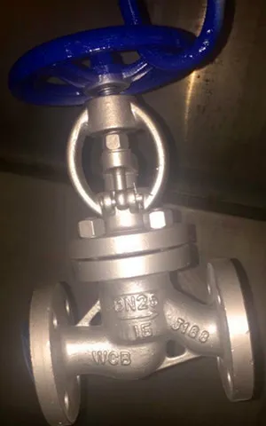 DIN Globe Valve, PN16, DN25,RF