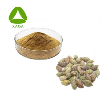 Siberian Cocklebur Fruit Extract Powder Natural