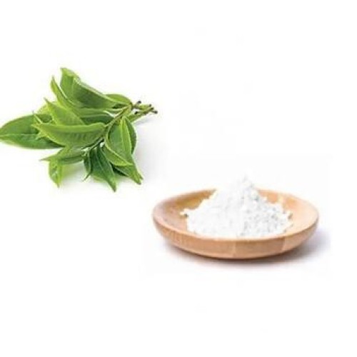 Plant Extract vine tea extract