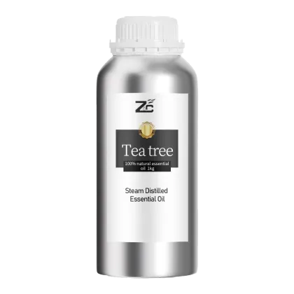 tea tree oil/tea tree oil bulk/pure tea tree oil