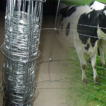 field fence for sheep and cattle