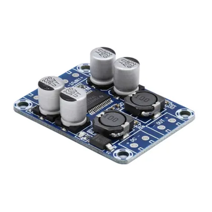XH-M313 HD Digital Power Amplifier Board - TPA3118 60W Mono BTL DC 8-24V