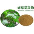 Common Valerian Root PE для помощи Бессонница и тревога