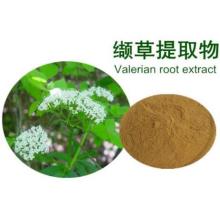 Common Valerian Root P.E. For Relief Insomnia and Anxiety