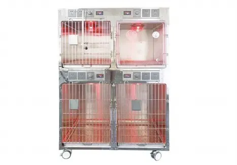 Veterinary-Grade Oxygen Cage Designed for Surgical Support
