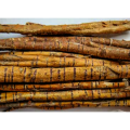 Mulberroside White Mulberry Root-Bark Extract