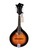 Musoo Brand Acoustic Mandolin Guitar (MM-A50)