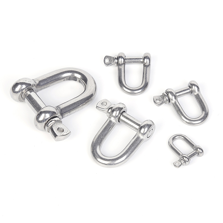 Stainless steel D-type shackle (9)