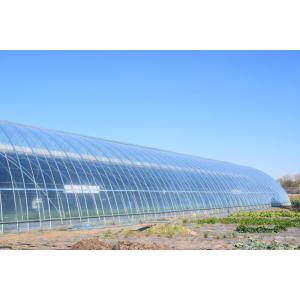 Greenhouses éconergétiques