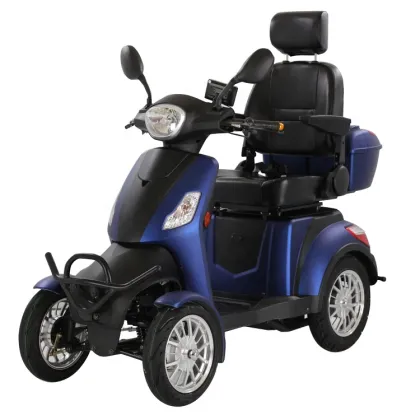 Elderly Mobility: Disabled E-scooters with EEC Compliance