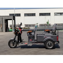 Small and stylish Flat Panel Electric Tricycle