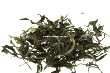 Loose Leave Best White Tea Brands