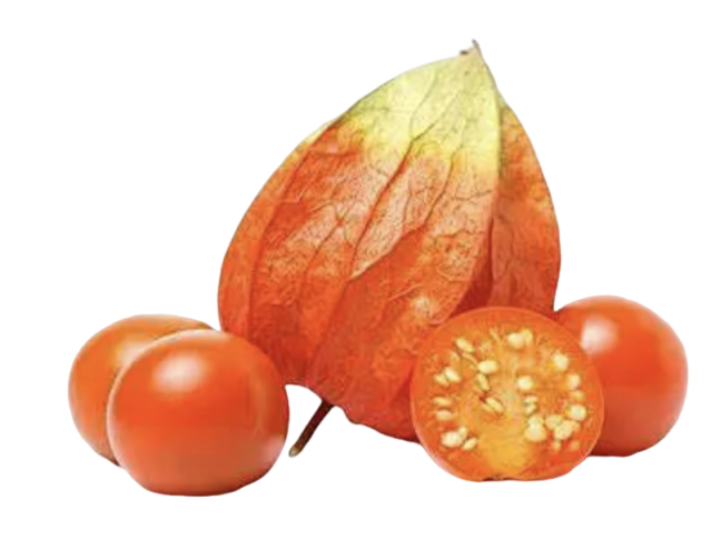 Ashwagandha Extract Bulk Powder