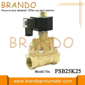 1'' 16bar Normally Open Steam Solenoid Valve 24V 110V 220V