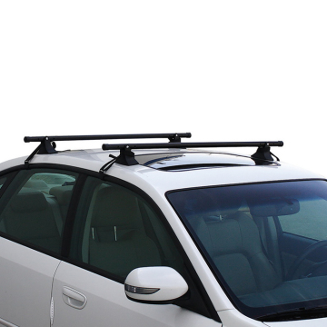 Auto Roof Top and Rear Hitch Cargo Carriers: Ladder, Luggage, and More