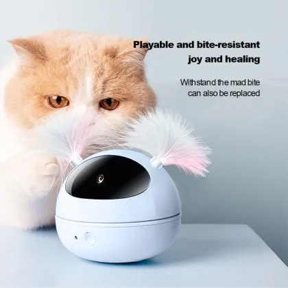 Cat Interactive Toys For Smart Cats