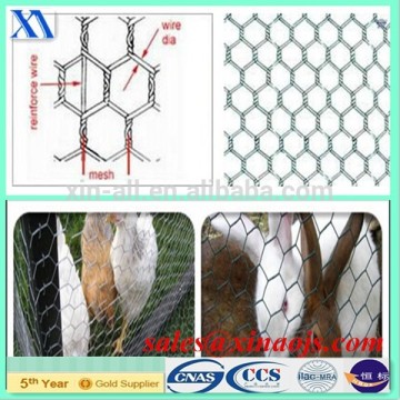 hexagonal wire mesh/hexagonal wire netting/bird cage hexagonal wire mesh