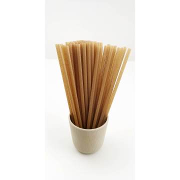 Biodegradable disposable sugarcane straw