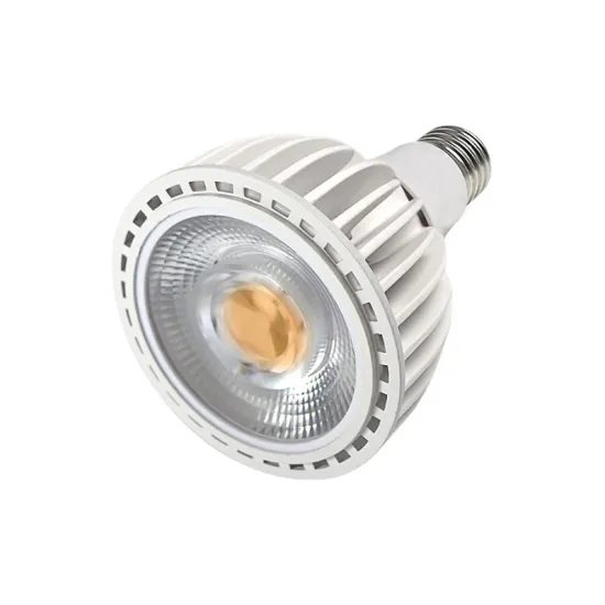 20W High CRI 90 Restaurant Store Indoor Lighting: LED Spot Light & PAR LED Lights