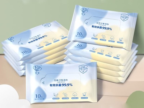 Disinfecting Wet Wipes (10 PCS)